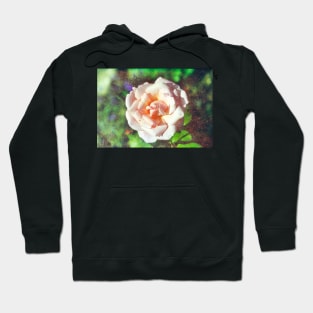 Old Rose Hoodie